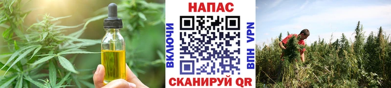 Canna-Cookies марихуана  купить  сайты  Абинск 