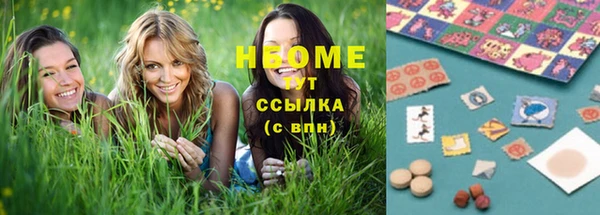 молекула духа Пересвет