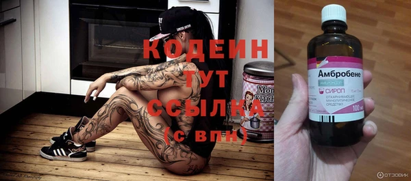 молекула духа Пересвет